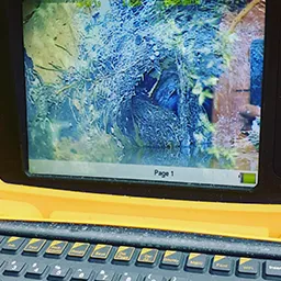 CCTV image of drain